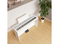 Korg B2 SP White Korg B2 SP White